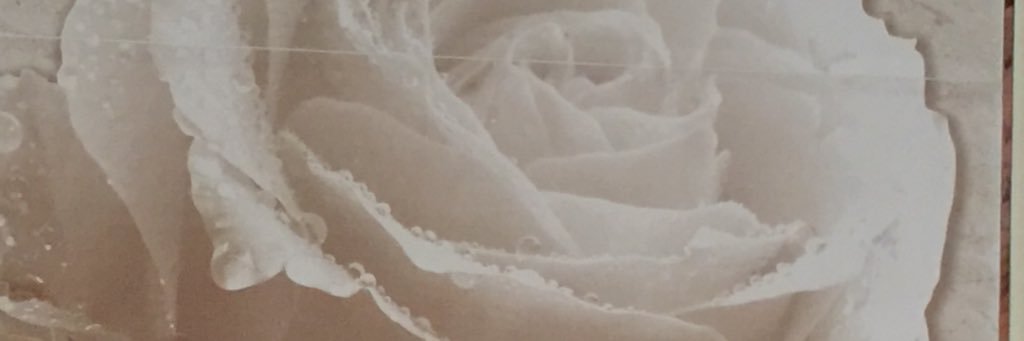 rjena's profile banner image