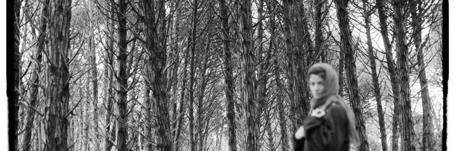 LiliReven's profile banner image
