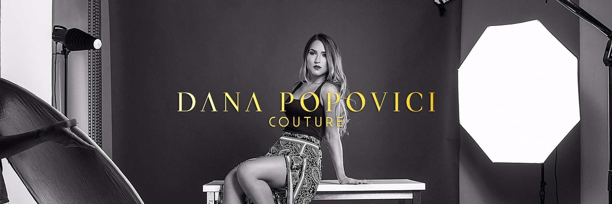 Danapopovicis's profile banner image