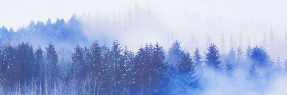 xiaofen_97's profile banner image