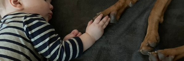 Cris STILL AT HOME Haest 😷 banner