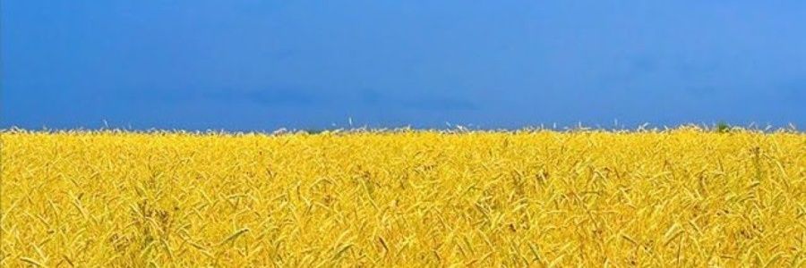 Stephen J M Sollid banner