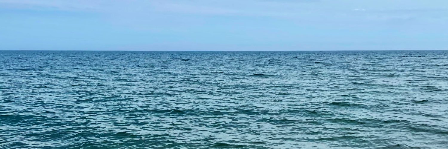 Ronak Kumar Mallik banner