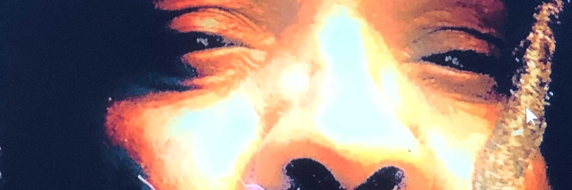 TheOneWho ! banner
