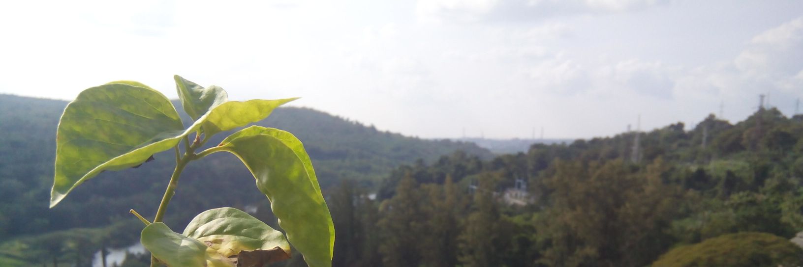 heyitsvel's profile banner image