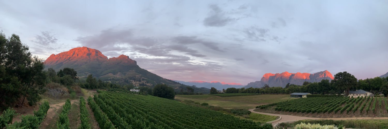 Johan van Schalkwyk banner