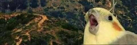 NFT Go banner
