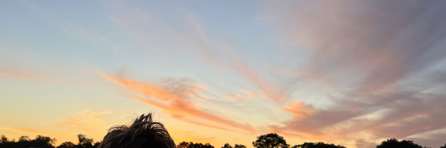 whoelsekaren's profile banner image
