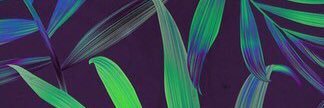Eugenia Shemonaeva banner
