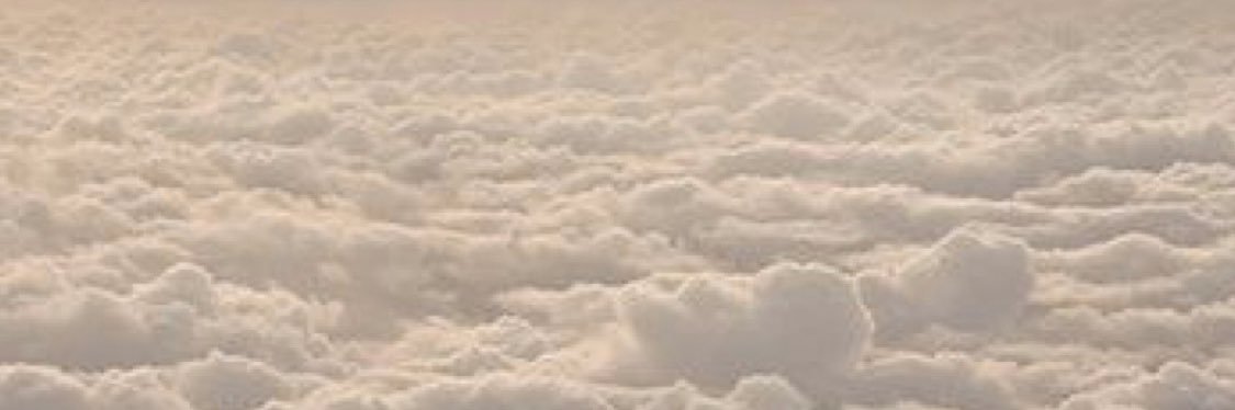 najlldn's profile banner image