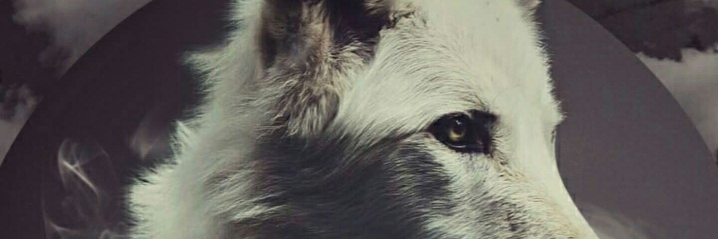 winz7er's profile banner image