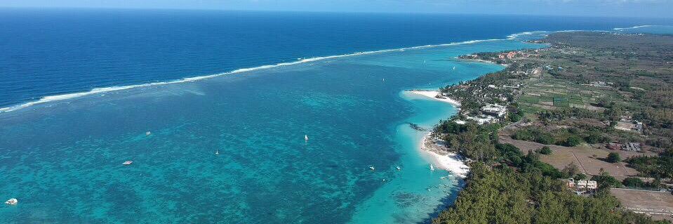 Kurt Kitayama banner