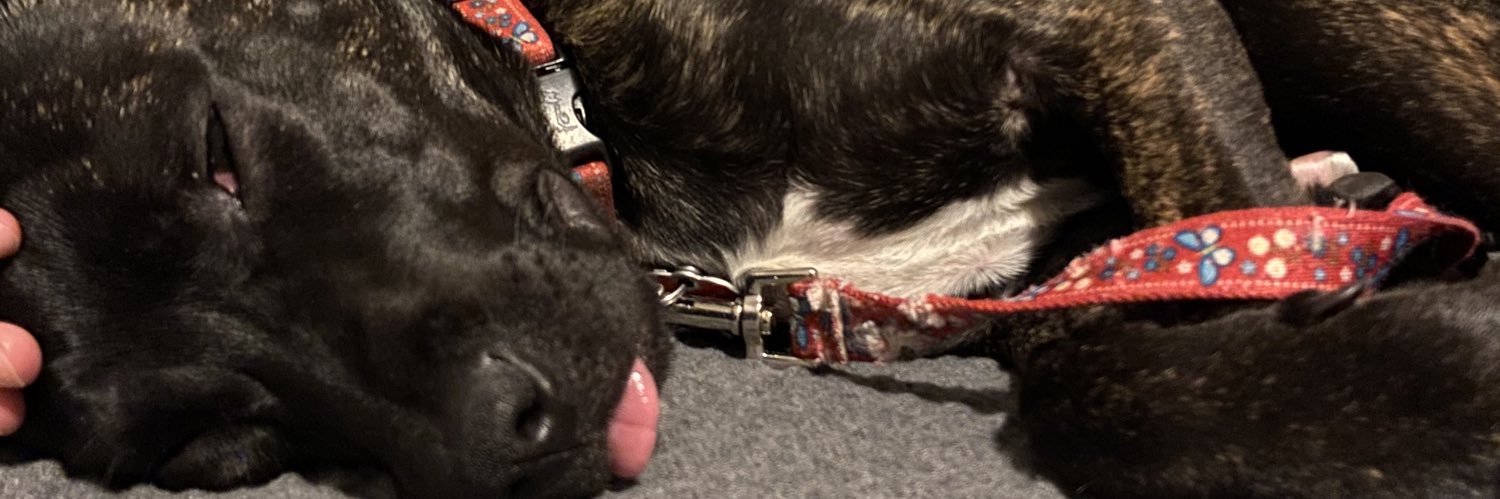 Lori Szymanski banner