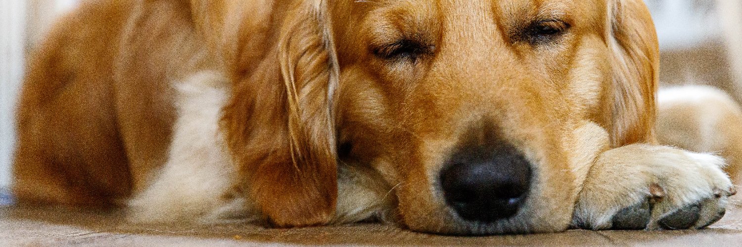 Sebastian Farquhar banner