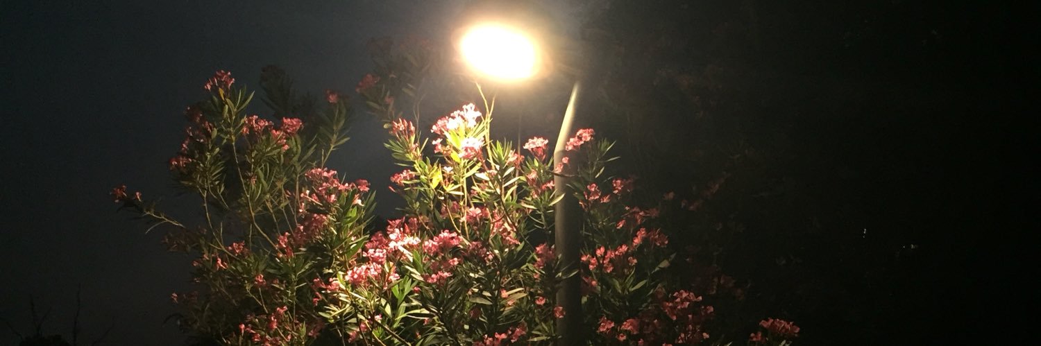ackgznurdan's profile banner image