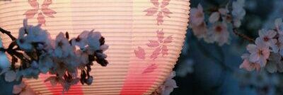 Romen_Alina's profile banner image