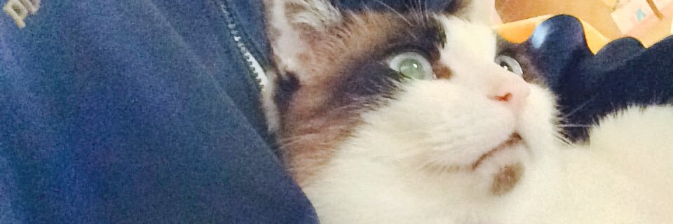maru4o's profile banner image