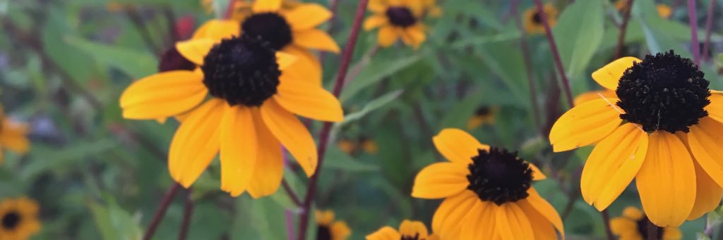 v_alidated's profile banner image