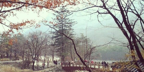 as3_putri's profile banner image