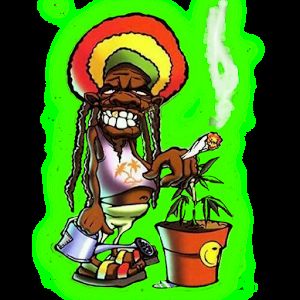 Bushman banner