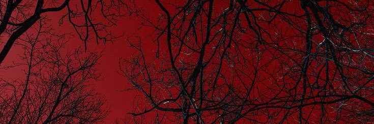 pooricua's profile banner image