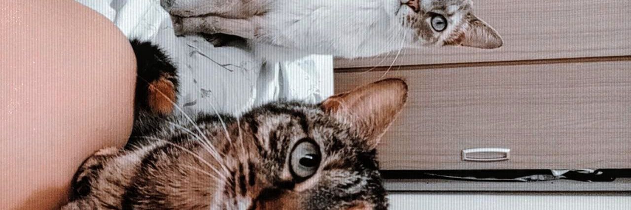 amaladyy_'s profile banner image