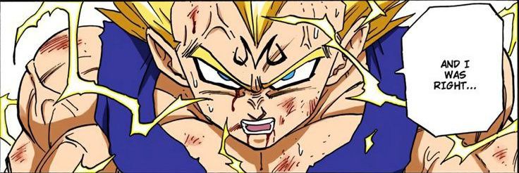 0xVegeta(Ø,G) banner