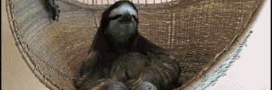Black_Pimp's profile banner image
