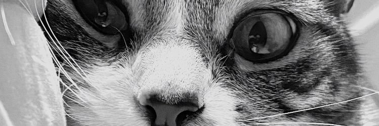 isaclares's profile banner image