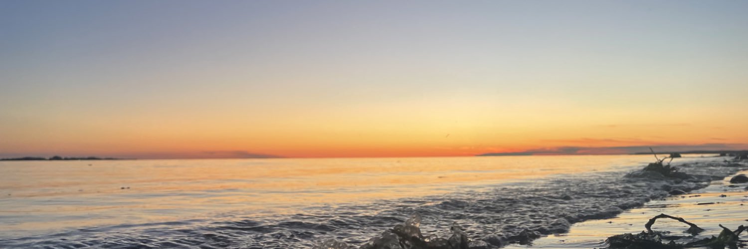 Noemielnl's profile banner image