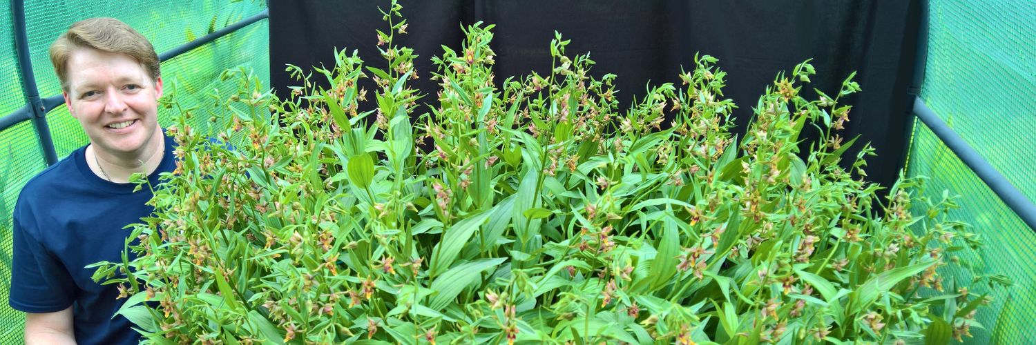 'Boothby' 🖖 banner