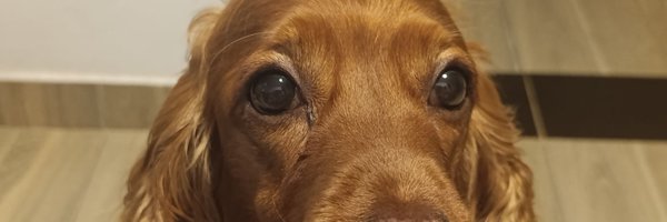 jimenitahr Profile Banner