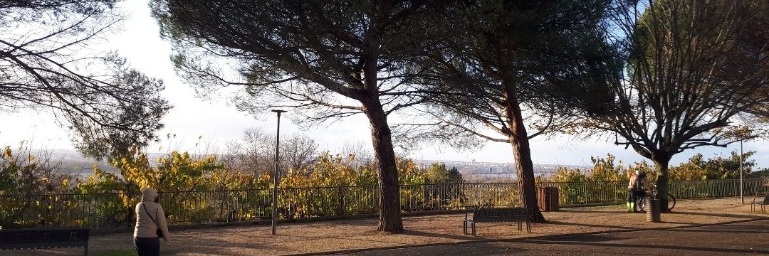 Yann_FP's profile banner image