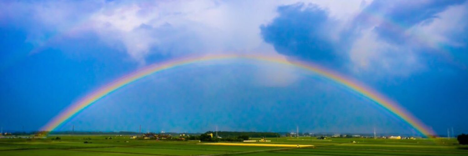 tceix's profile banner image