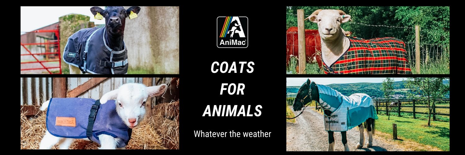 AniMacWear's profile banner image