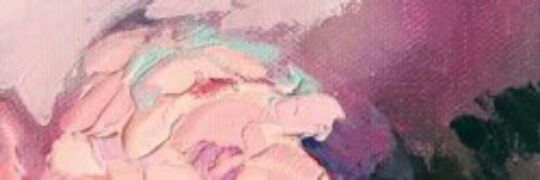 eccogdr's profile banner image