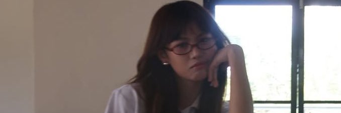 sevi banner