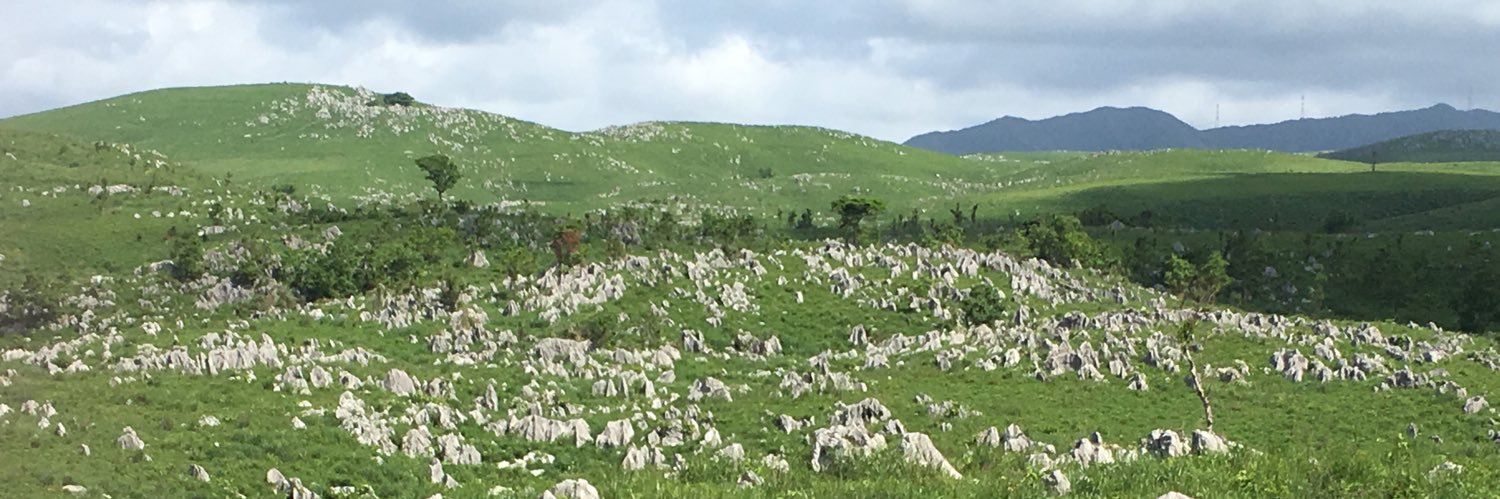 アルス@にゃんこ banner