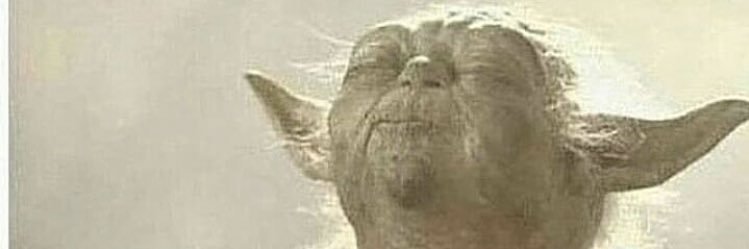 Omegalow's profile banner image
