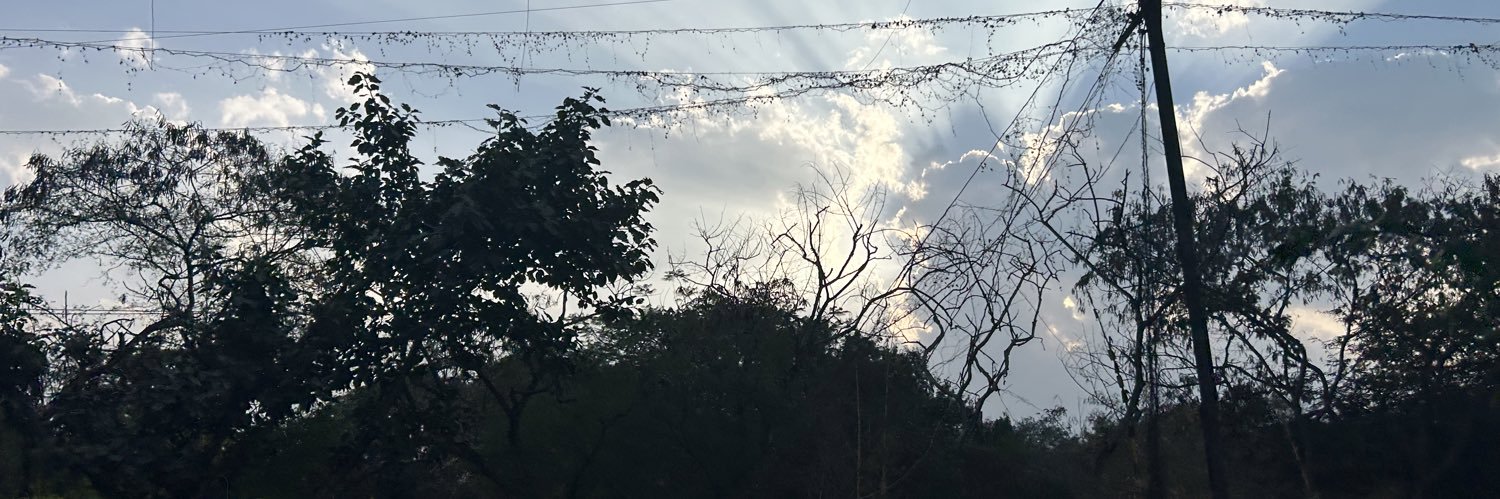 nona 🇵🇸 banner