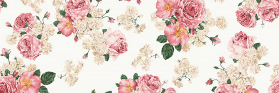 _Nynkeee's profile banner image