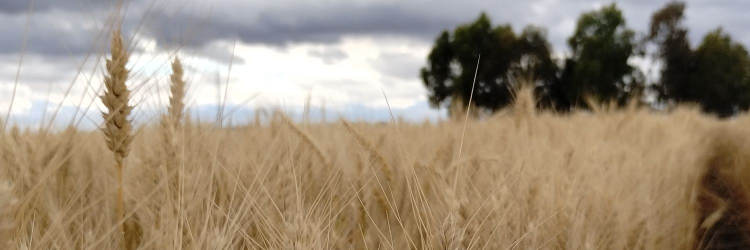 ♥ Floor ♥ banner