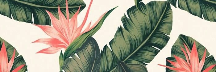 afisaby's profile banner image