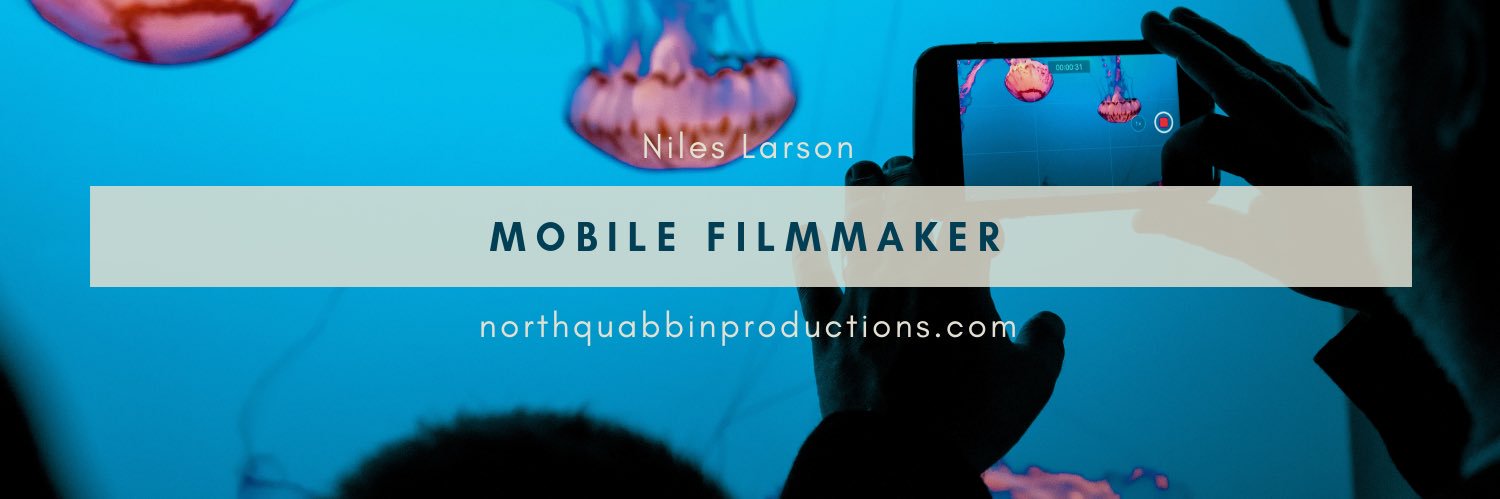 Niles Larson banner