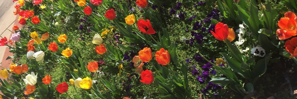 Gabster 💘 banner