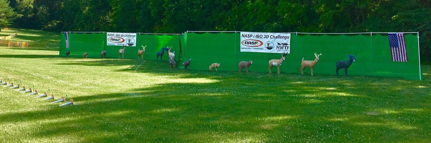 NASP®/IBO 3D banner