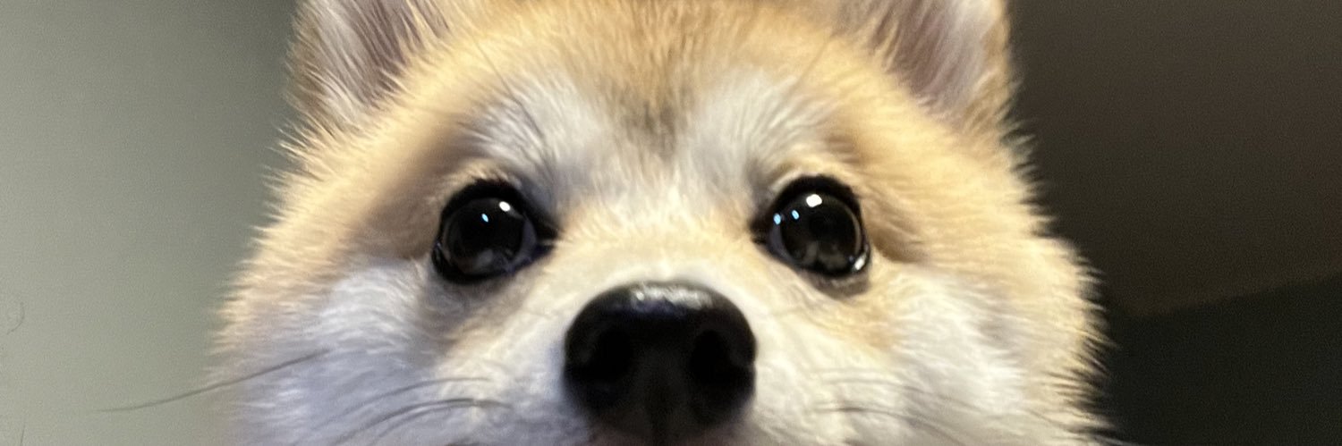 chacha__18_'s profile banner image