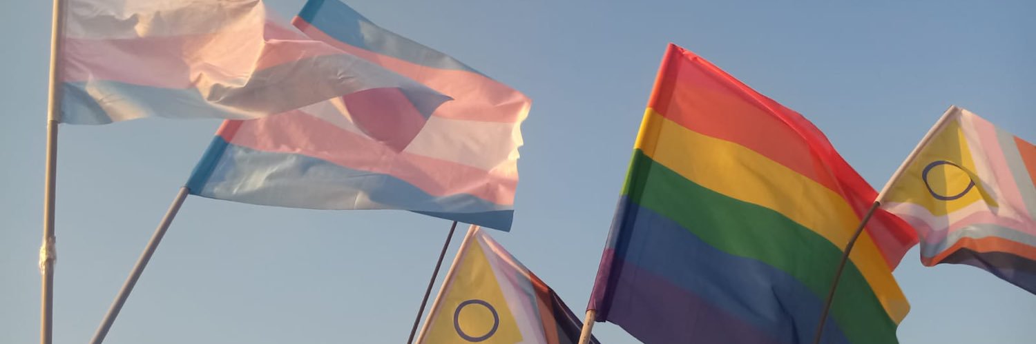 Asya 🏳️‍⚧️🏳️‍🌈's banner