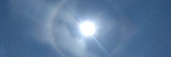 ginkoji Profile Banner