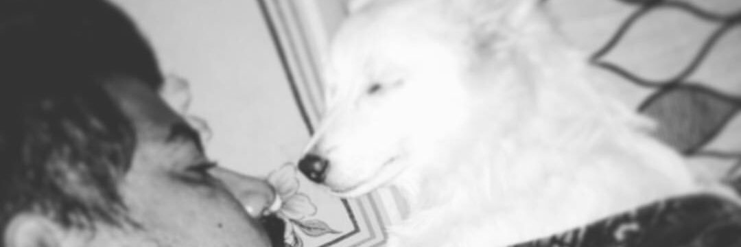 Puranam Prithvi banner